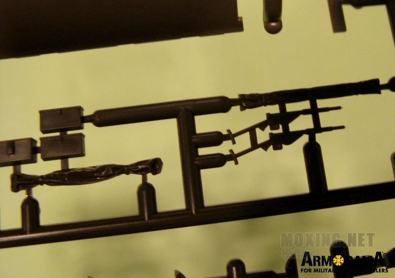 tam_m1029__800x565_.jpg