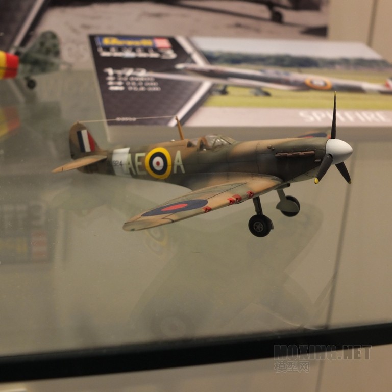 revell_06_of_51.jpg