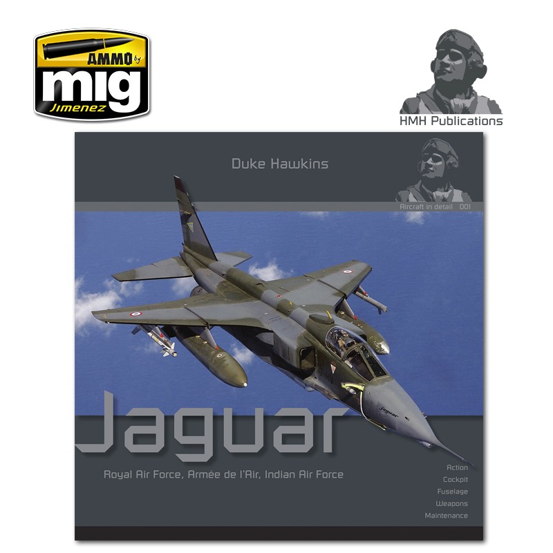 the-sepecat-jaguar.jpg