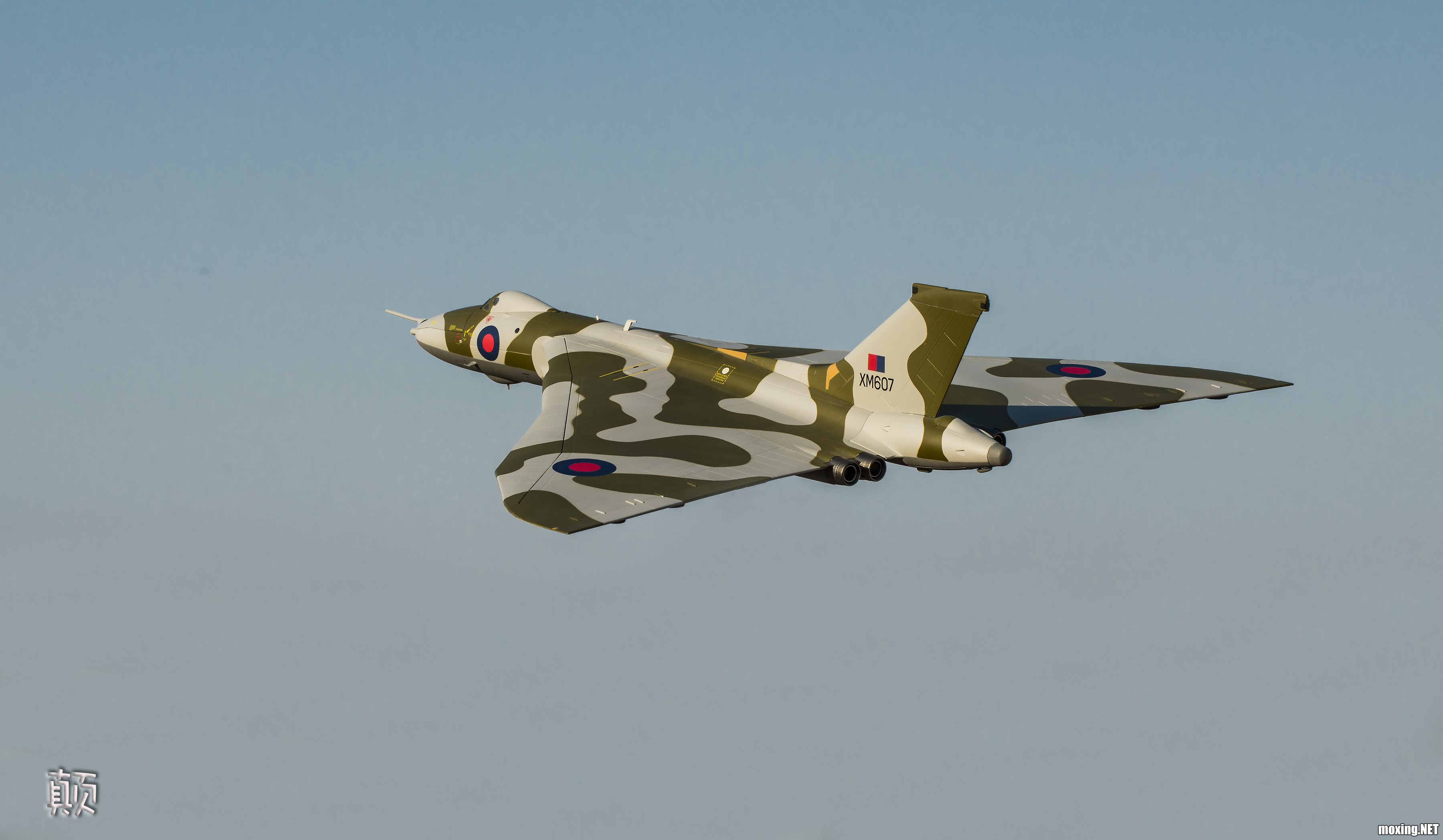 DSC_4798.jpg