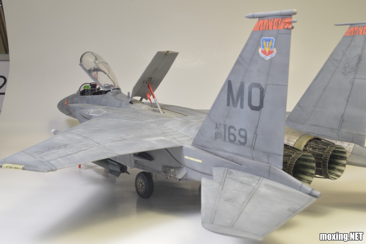 Revell (1-48) F-15E Tiger Lead 04891 - 19 of 28.jpeg