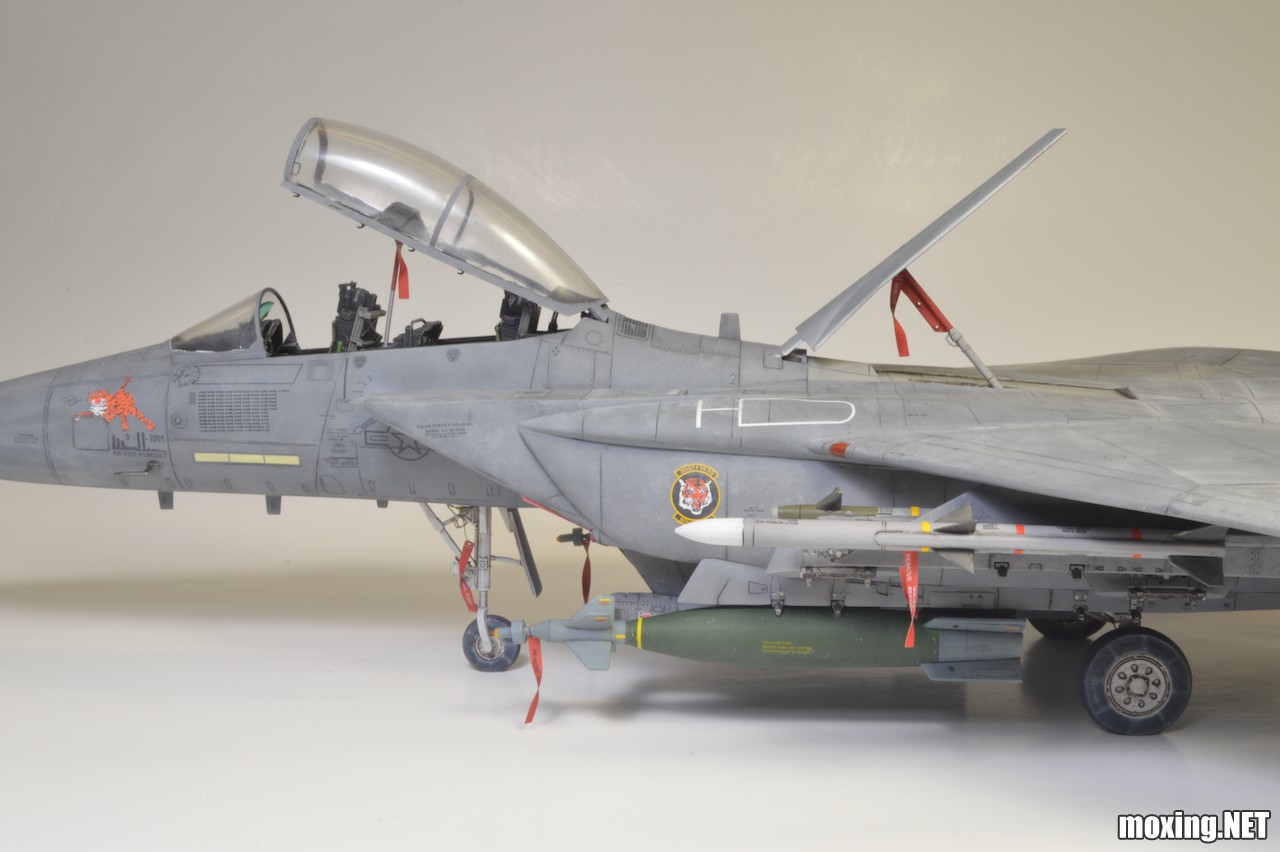Revell (1-48) F-15E Tiger Lead 04891 - 20 of 28.jpeg
