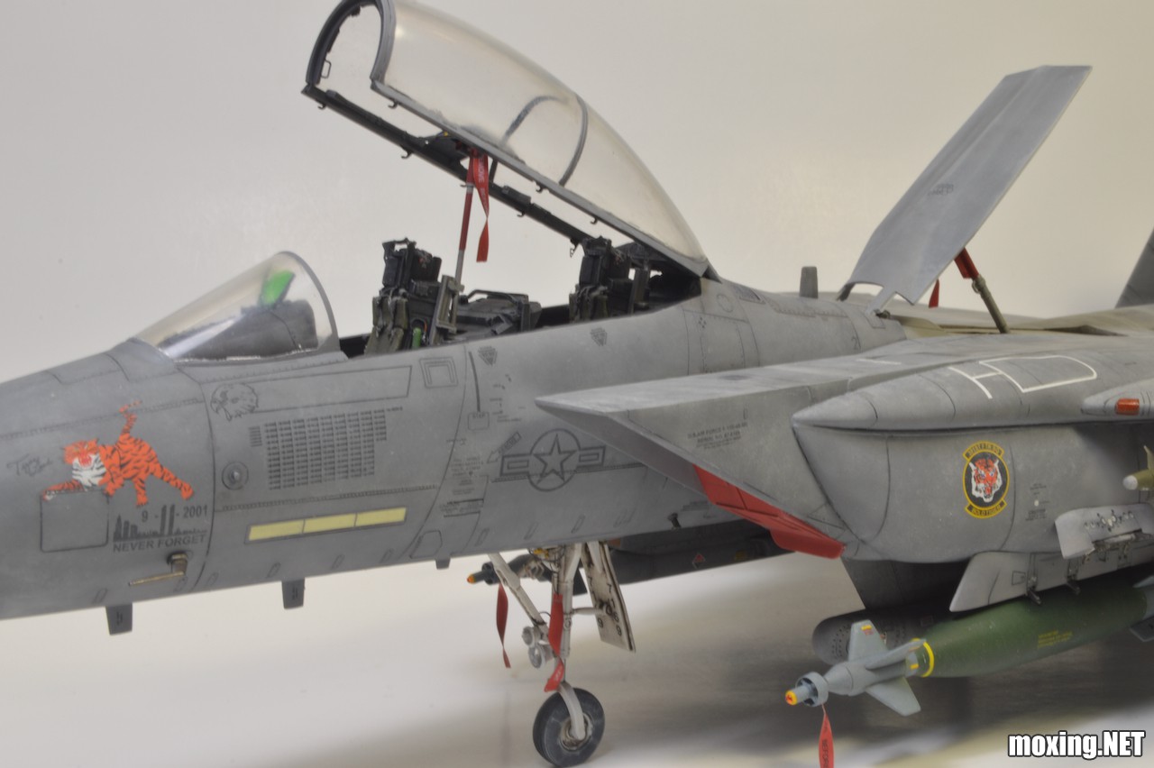 Revell (1-48) F-15E Tiger Lead 04891 - 21 of 28.jpeg