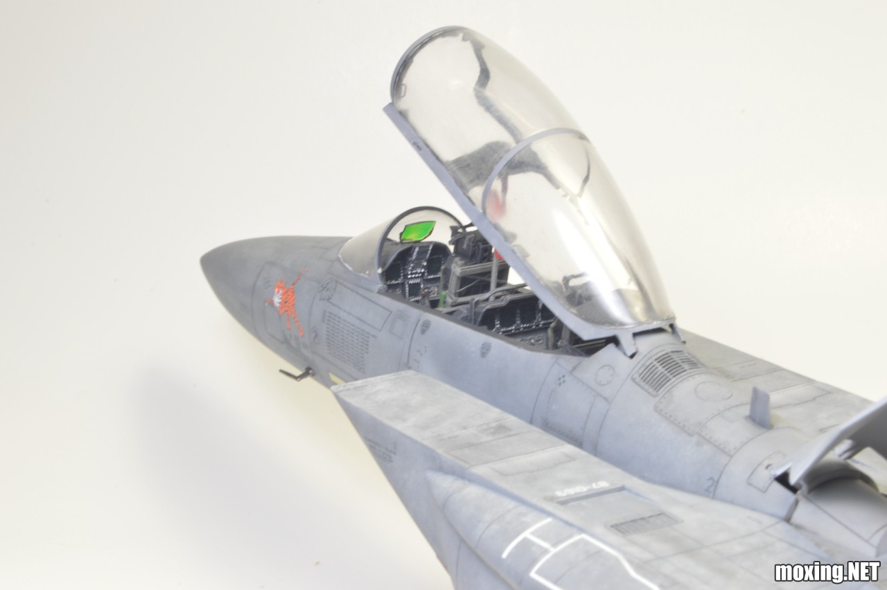 Revell (1-48) F-15E Tiger Lead 04891 - 28 of 28.jpeg