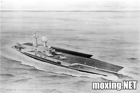 OIP-C.jpg
