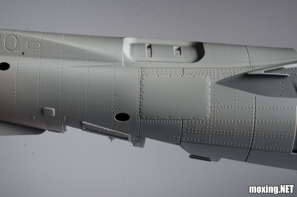 20250616-_DSC0452.jpg
