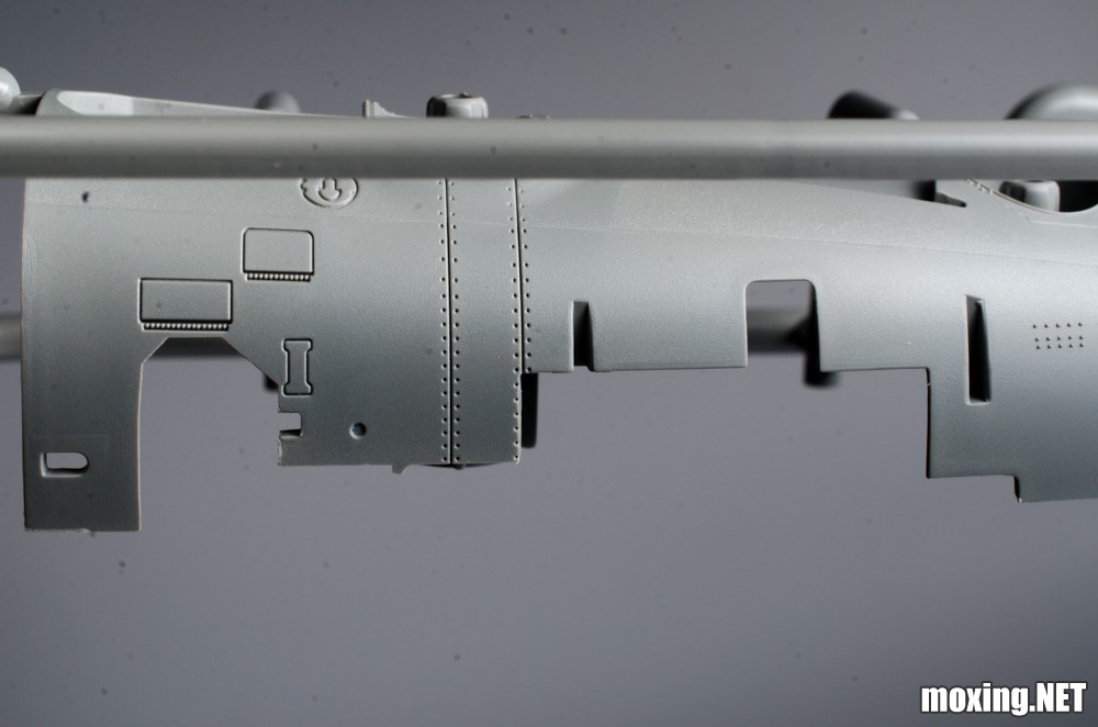 20250616-_DSC0467.jpg