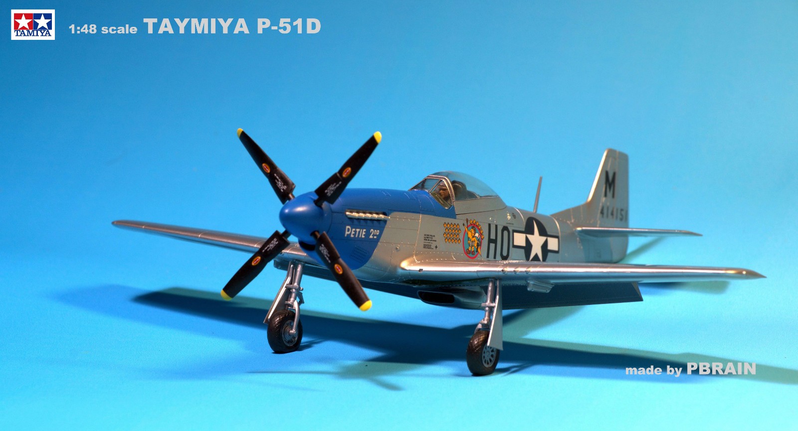 P-51D - hh.jpg