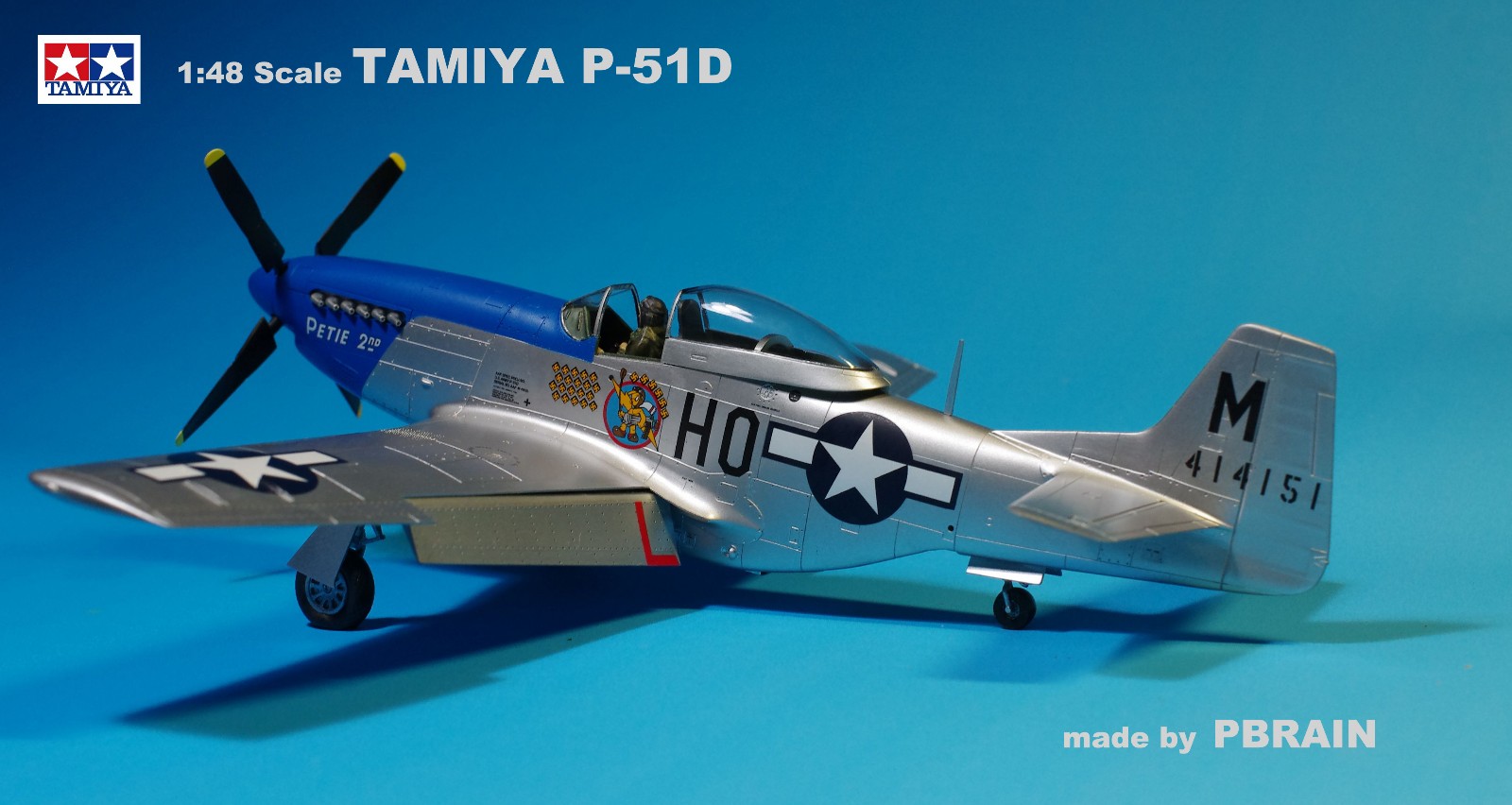 P-51D - a.jpg