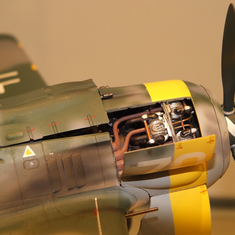 revell_26_of_94.jpg