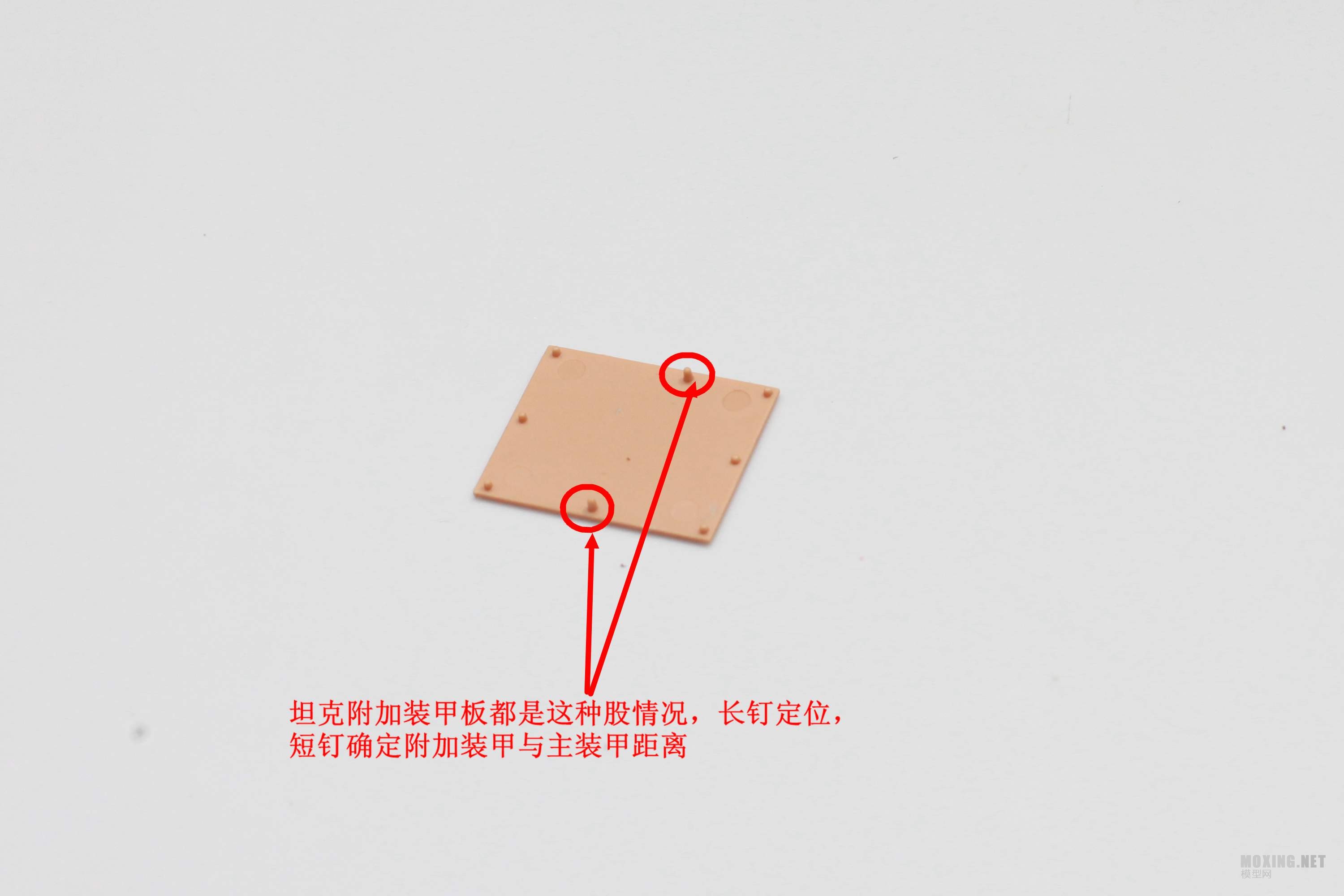 12 (20).JPG