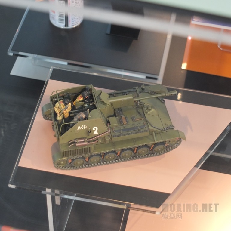 tamiya_16_of_22.jpg