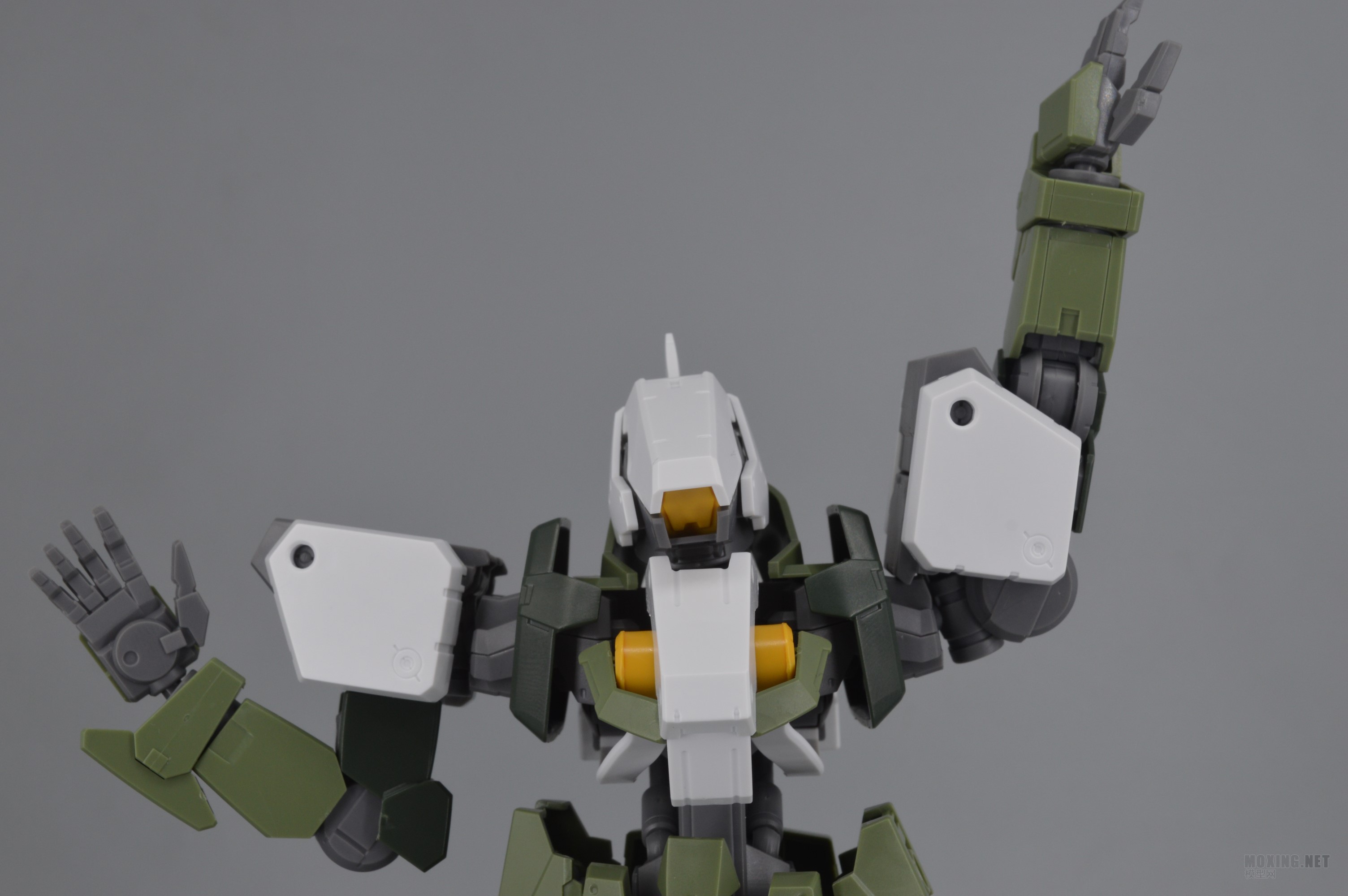 [ģ]-1/100 IBO(Ѫ)ȸ GRAZE CUSTOM