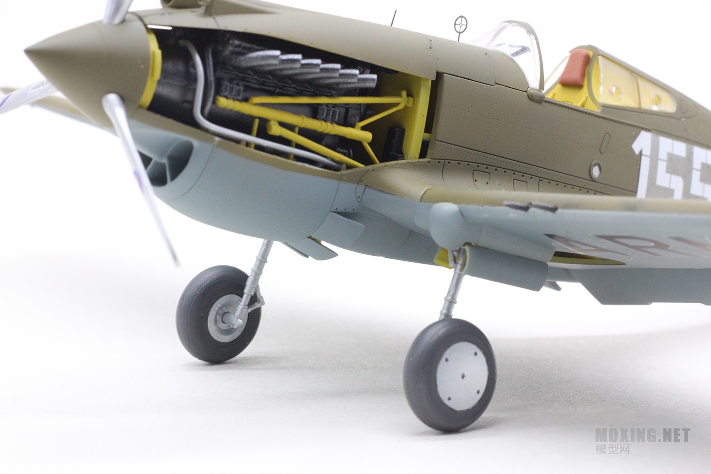 [ģ]-1/48 P-40Cս