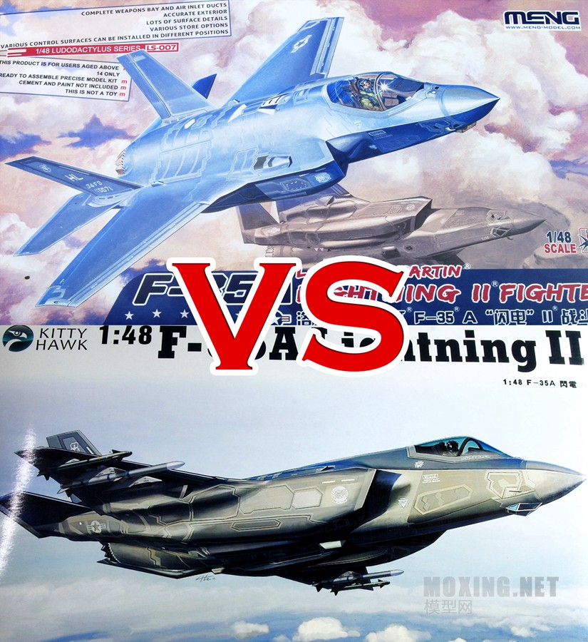 [ģԱ]MENG(LS-007) VS Сӥ(80103)-1/48F-35A