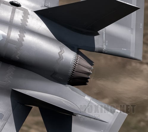 [ģԱ]MENG(LS-007) VS Сӥ(80103)-1/48F-35A