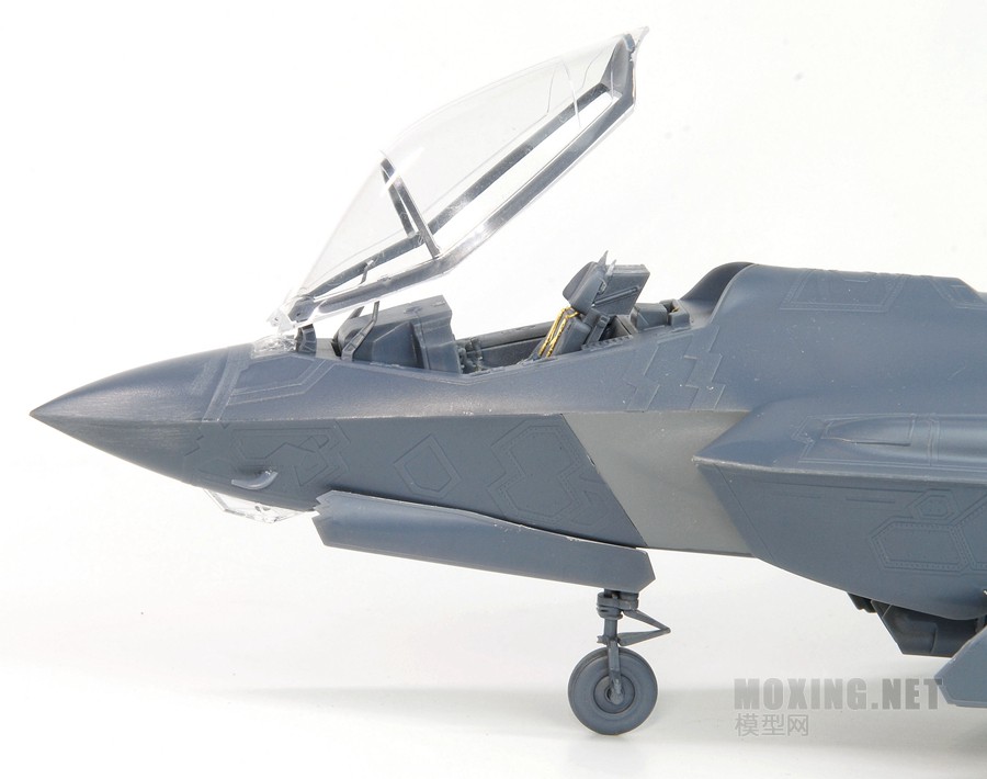 [ģԱ]MENG(LS-007) VS Сӥ(80103)-1/48F-35A