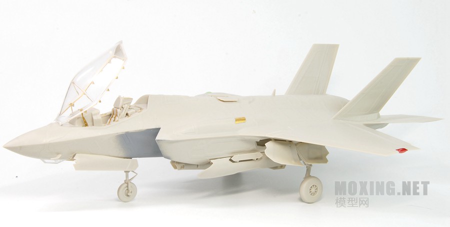 [ģԱ]MENG(LS-007) VS Сӥ(80103)-1/48F-35A