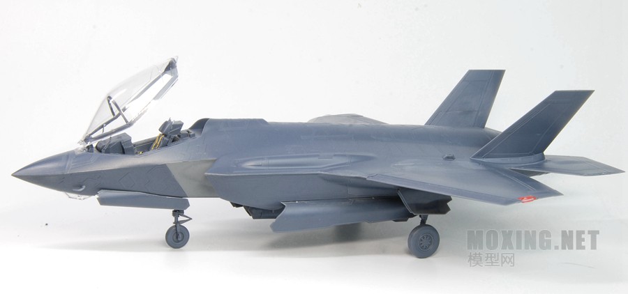 [ģԱ]MENG(LS-007) VS Сӥ(80103)-1/48F-35A