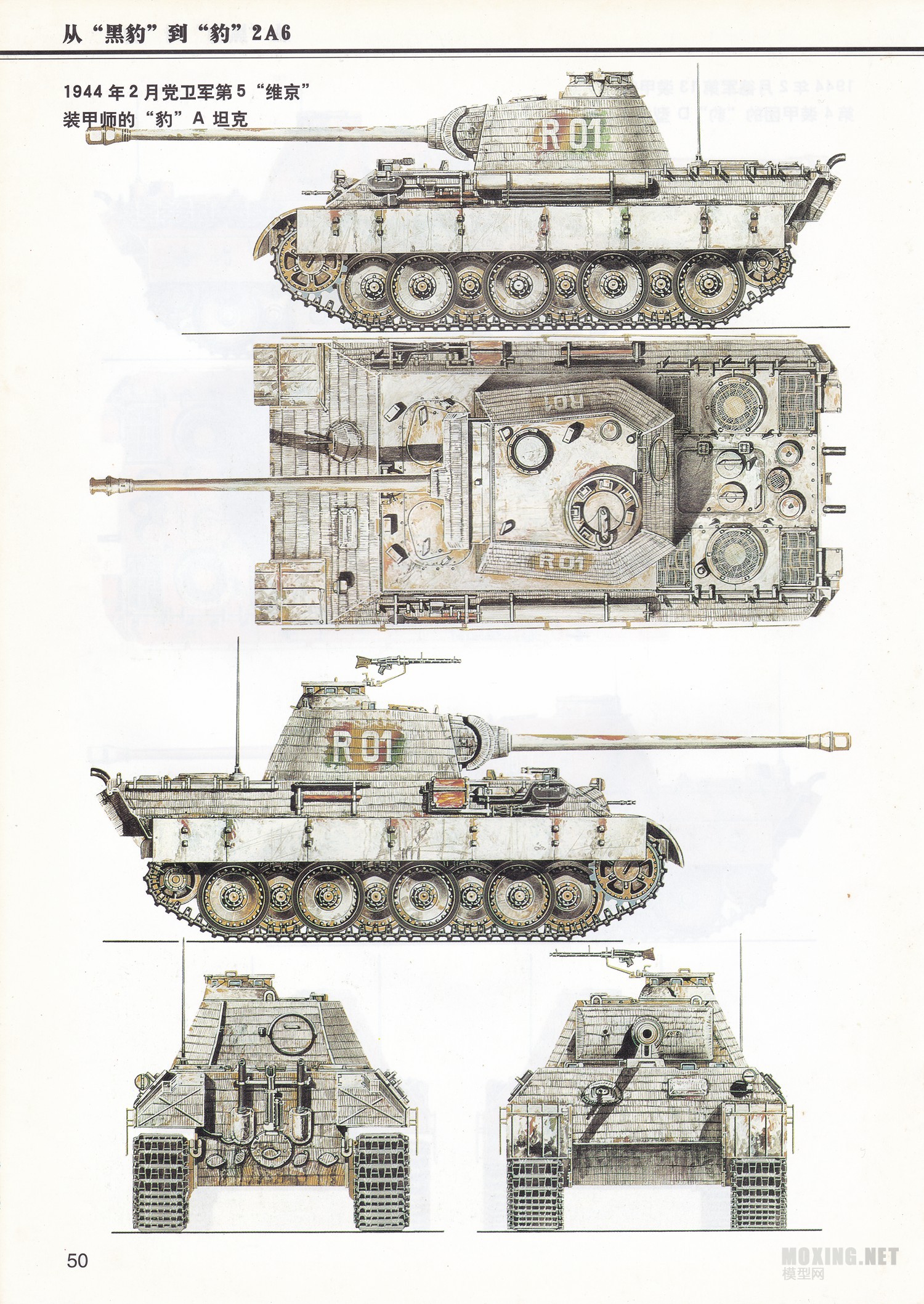 [ģ]MENG-1/35ս¹ڱA̹(TS-035)