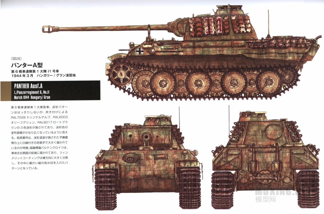 [ģ]MENG-1/35ս¹ڱA̹(TS-035)