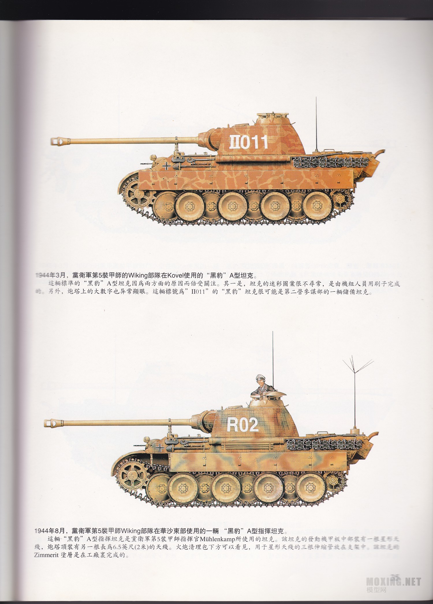 [ģ]MENG-1/35ս¹ڱA̹(TS-035)